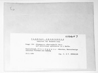 Image Associated With the Occurence